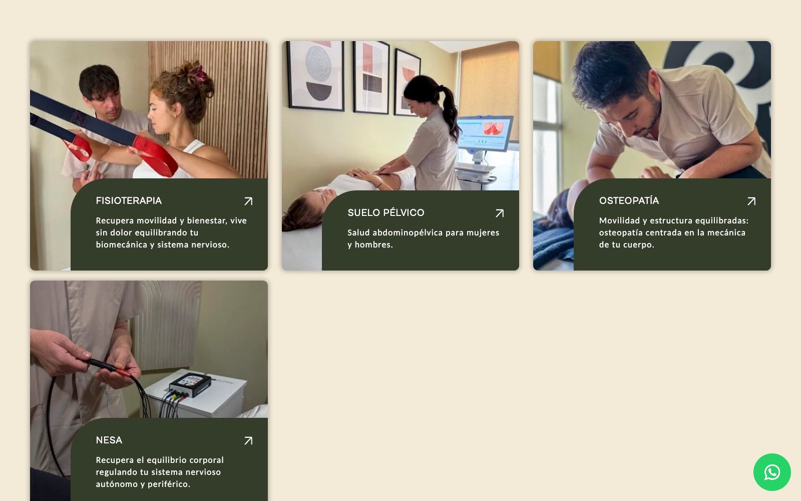 Mosaico de tratamientos de Bert Salud con fotografía de cada disciplina sobre tarjetas verde oliva